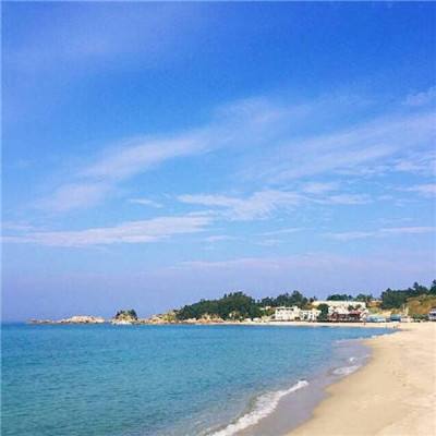 “中园石化”加油站被立案调查